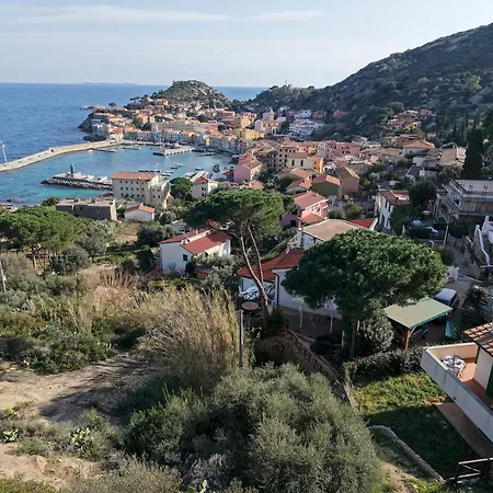 Brajosa